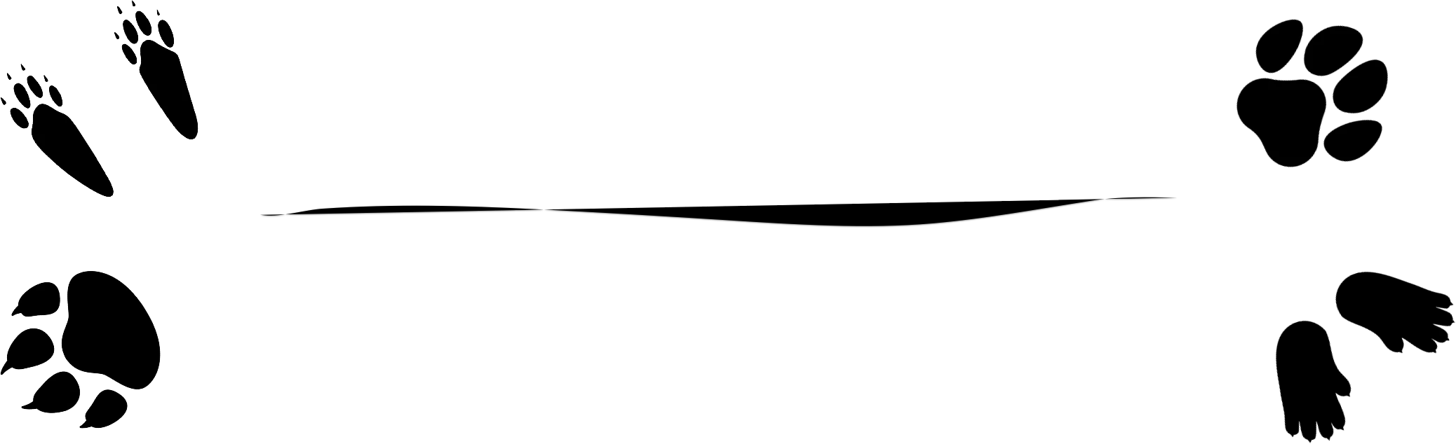 Weterynarz Paniówki